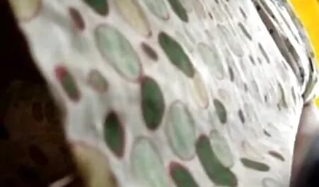 Estudiante mostró su hermoso porno casero en el auto cuerpo desnudo