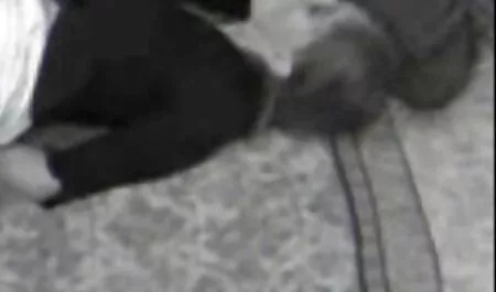 Después de que el sombrero el pene entró en el videos caseros peludas culo
